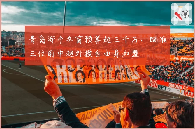 青岛海牛冬窗预算超三千万,瞄准三位前中超外援自由身加盟
