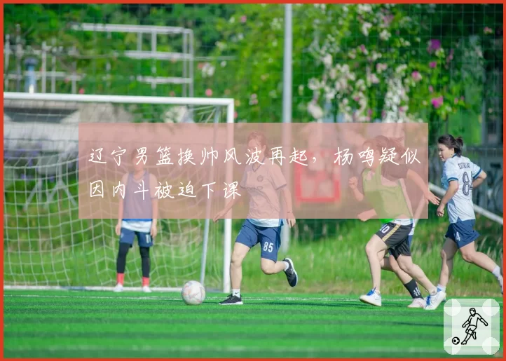 辽宁男篮换帅风波再起,杨鸣疑似因内斗被迫下课